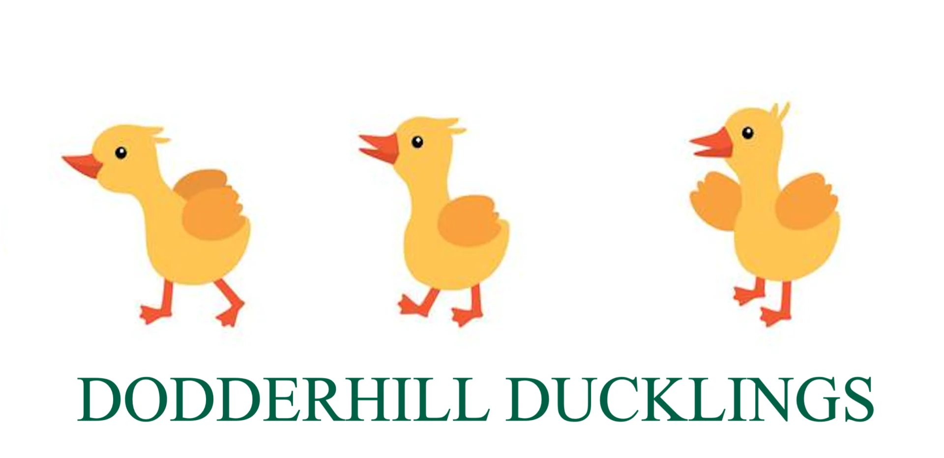 Dodderhill Ducklings Toddler Group