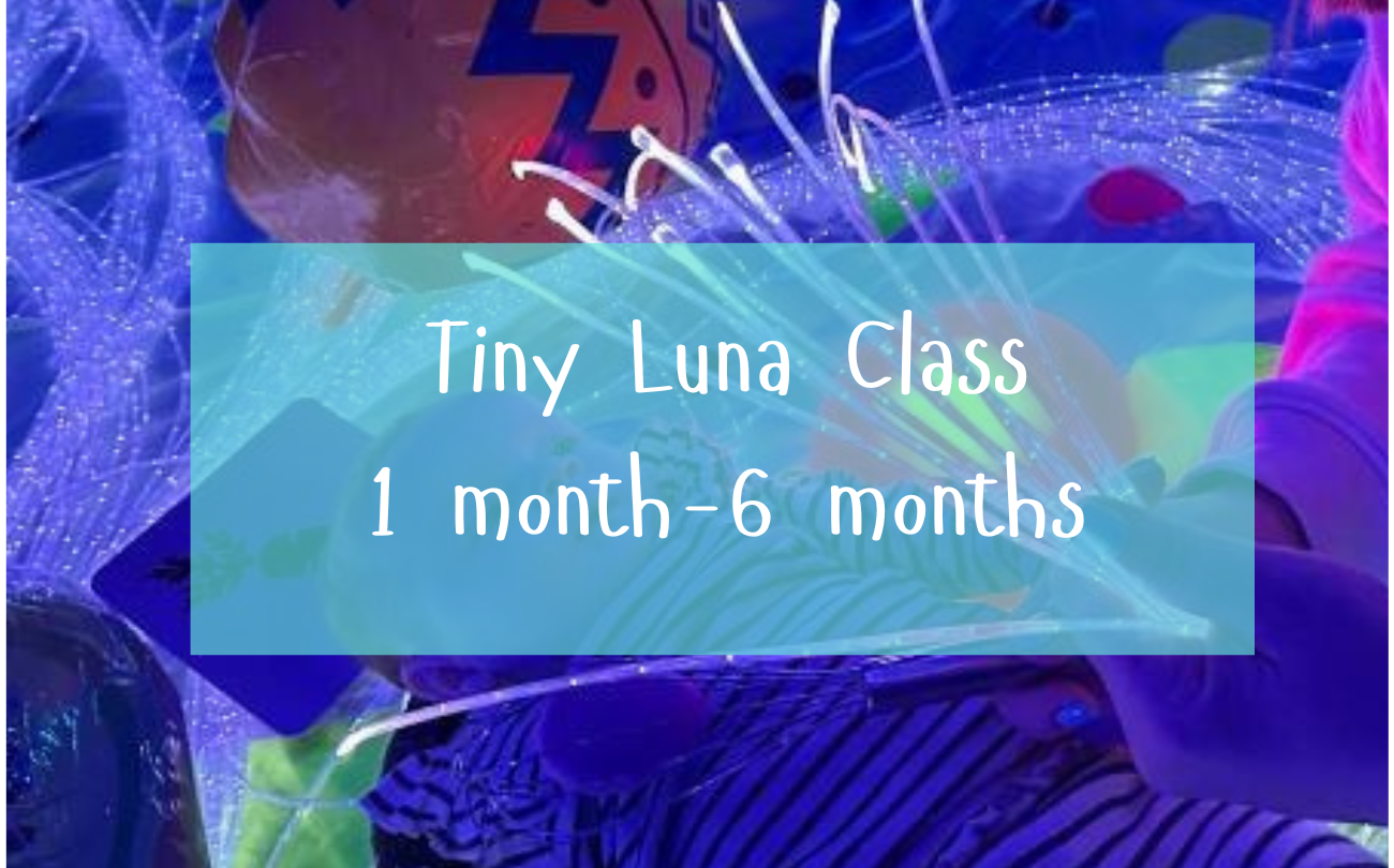 Tues 12:50pm 💙 Tiny Luna Class (🌞 Summer Term)