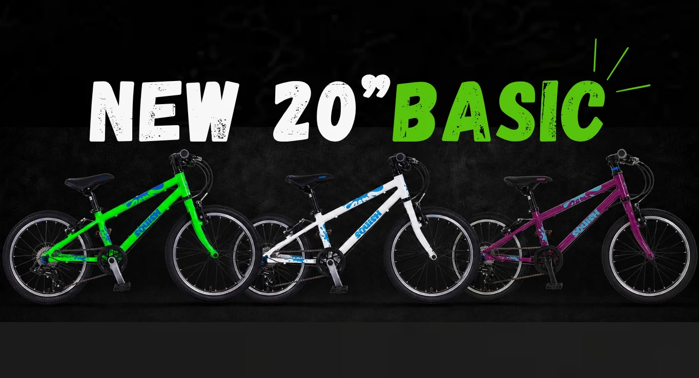 Subscription: NEW 20" Squish or equivalent BASIC