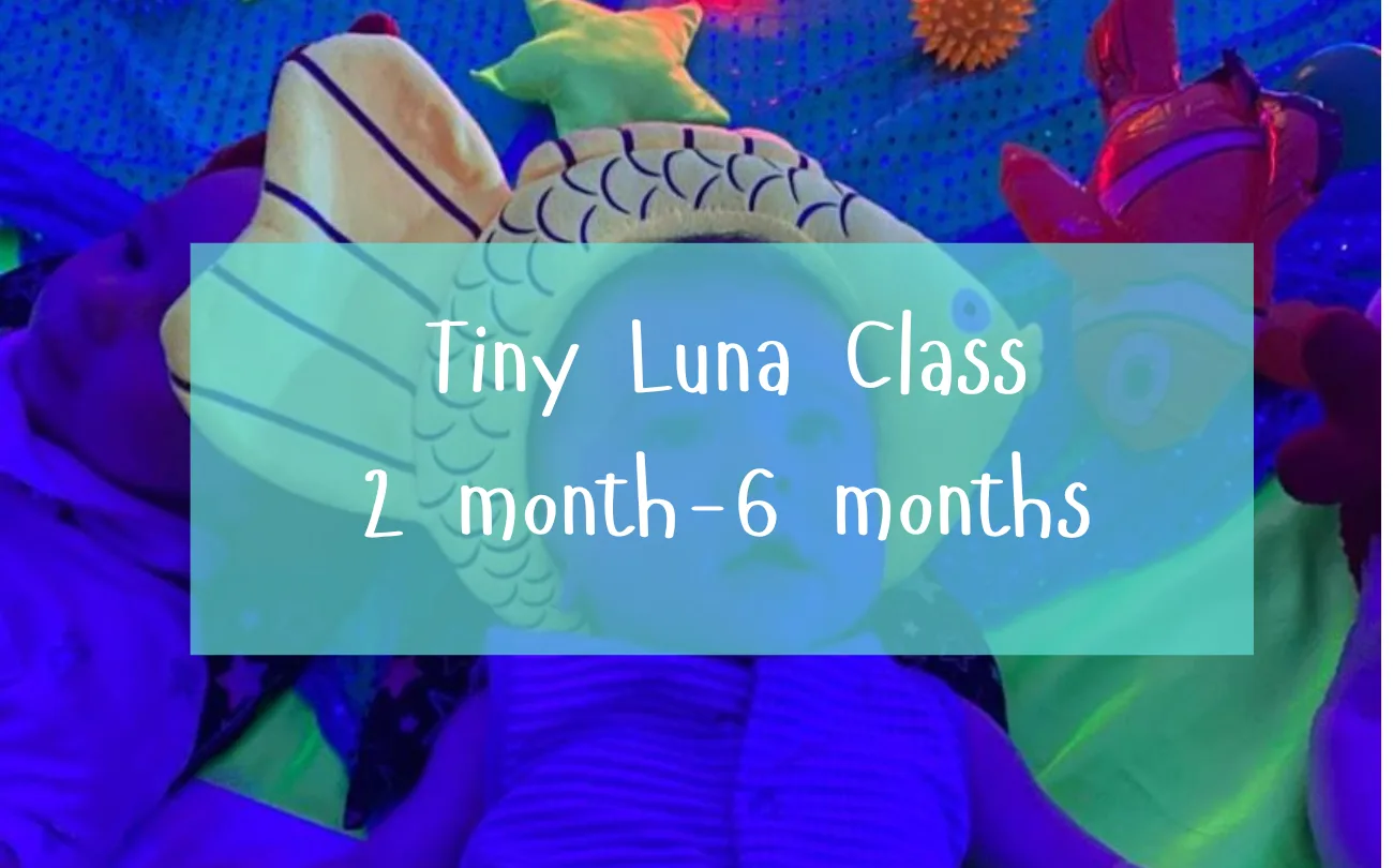 (Tiny Luna) Summer Party 🌞- Tues 14th July 11.50am