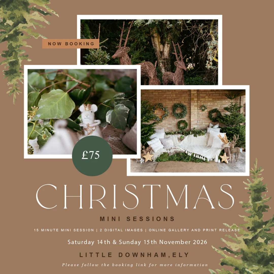 Christmas 26 copy.jpg