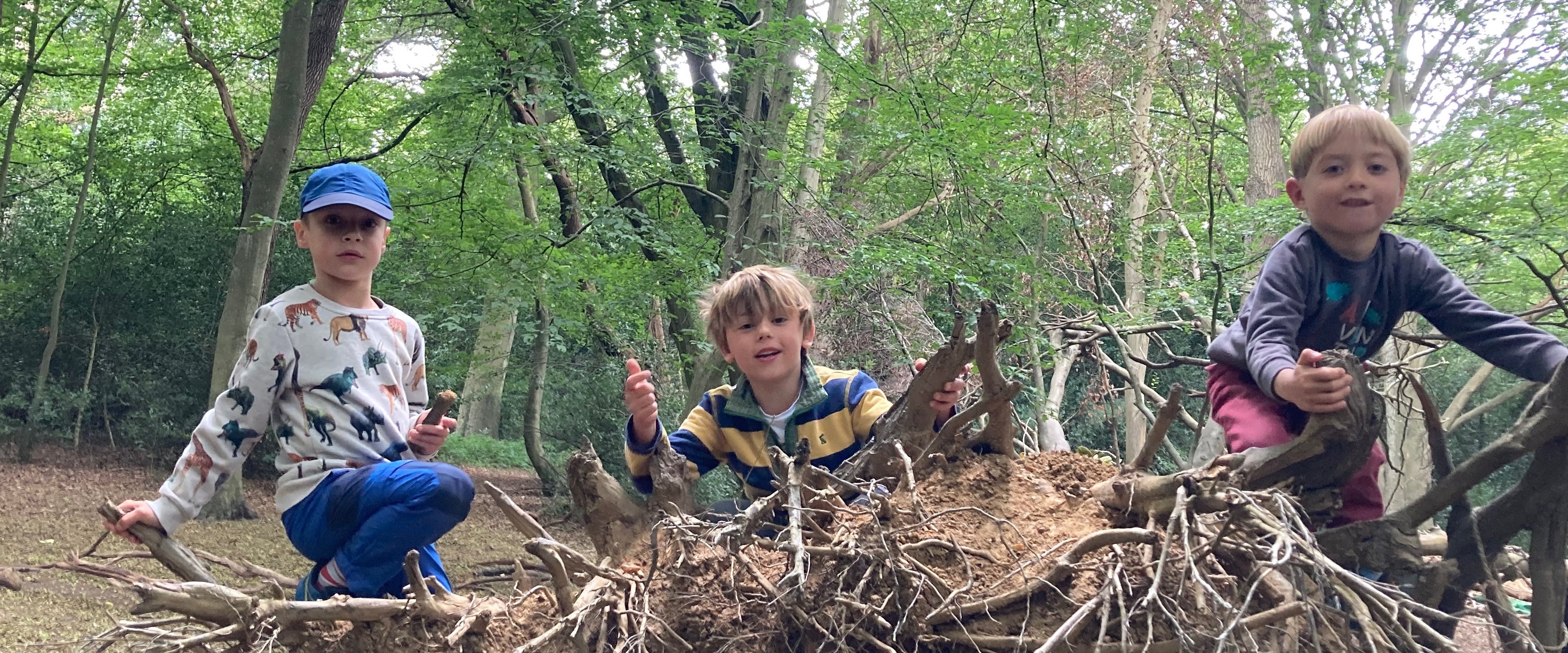 Autumn half term holiday club on Witley Common