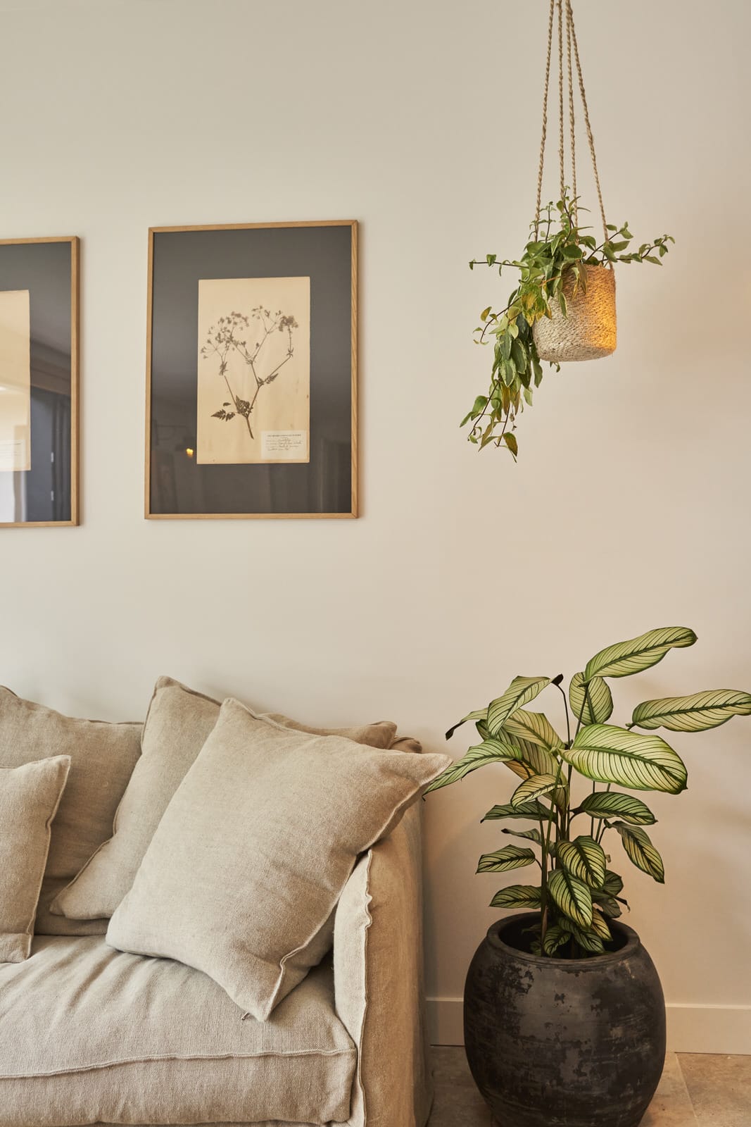 Details of the shared spaces at Les Pénates Bordelaises