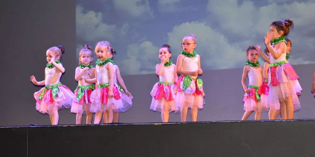 Photo de l’article publié par Sud Ouest — Le Festival des arts se poursuit