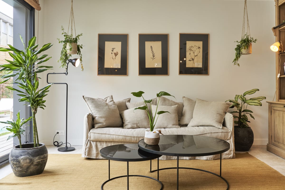 Sofa, plants and botanical prints in the shared lounge