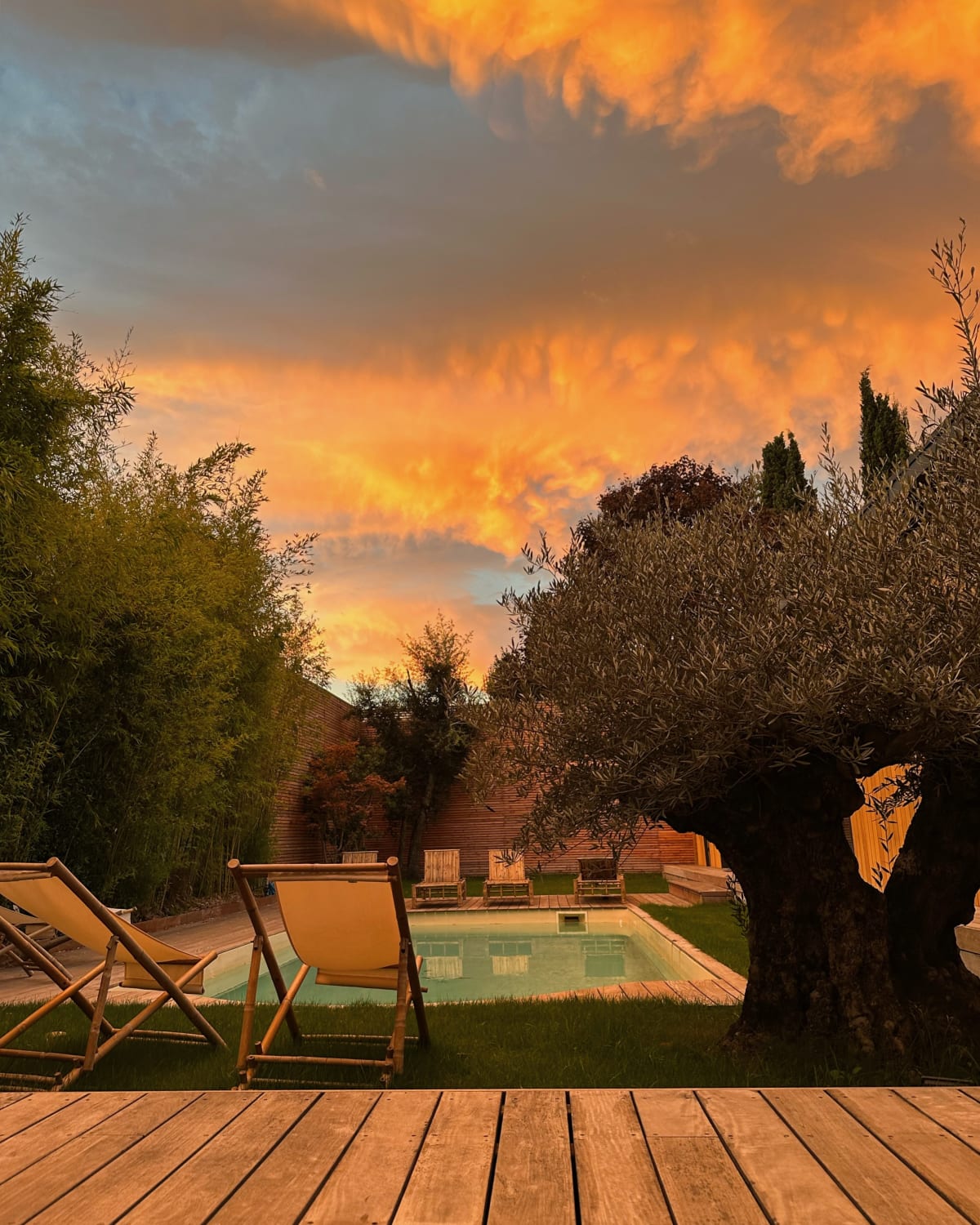 El jardín bajo los colores del atardecer