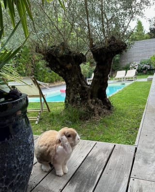 Séjour aux Pénates — Photo 23