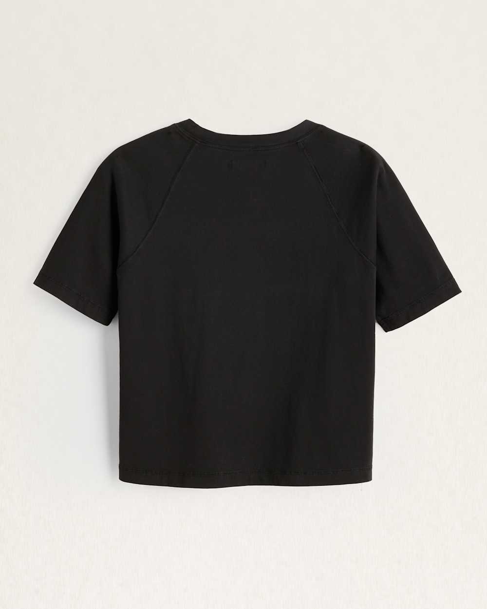 ALTERNATE VIEW OF WOMEN'S DESCHUTES HARDING EMBROIDERED TEE IN BLACK image number 3