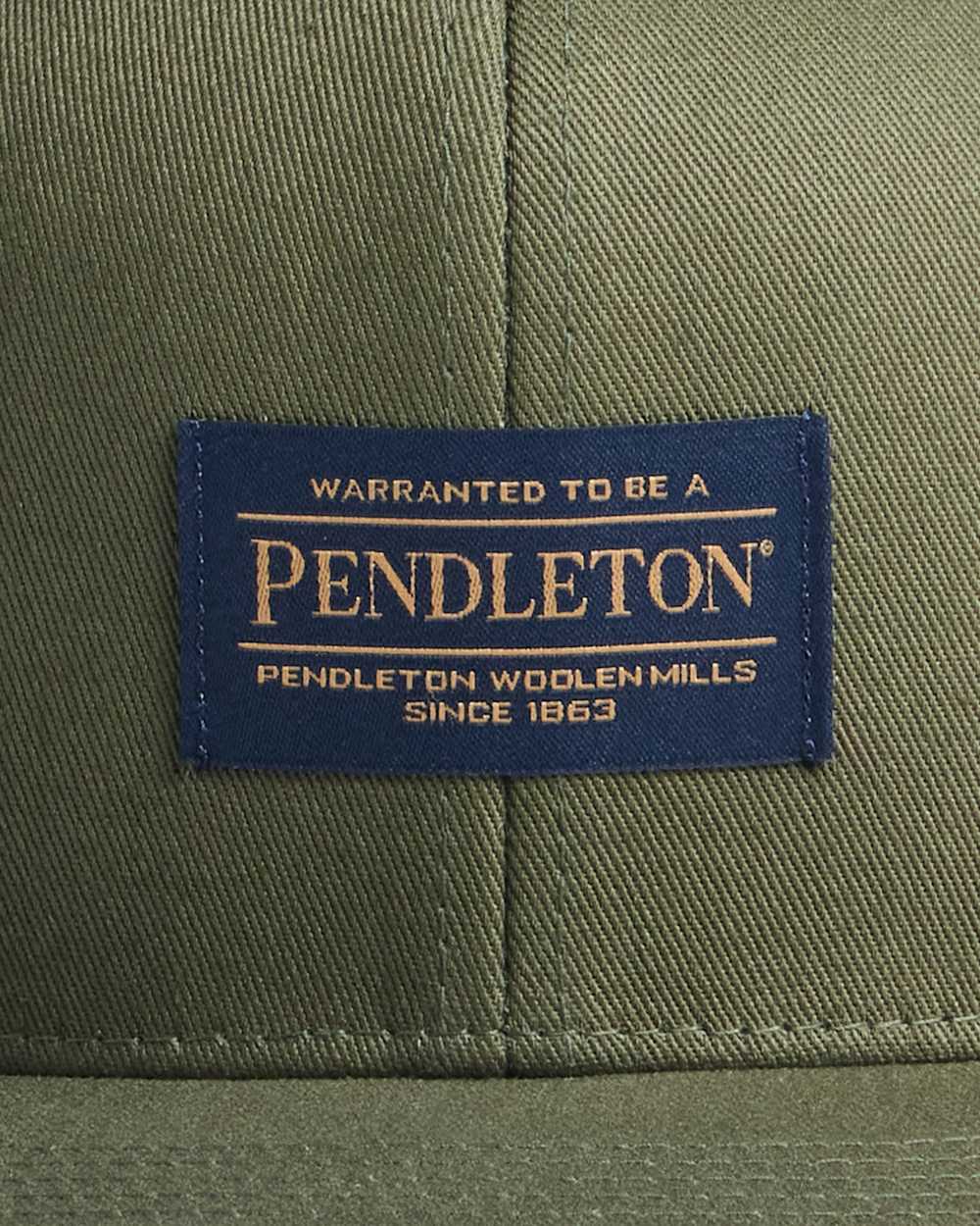 ALTERNATE VIEW OF LOGO FLAT BRIM HAT IN ARMY GREEN image number 3