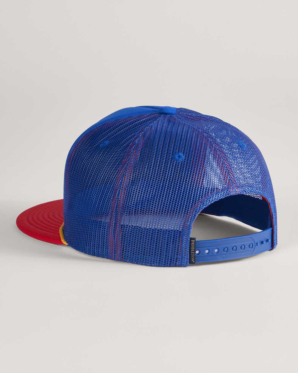 ALTERNATE VIEW OF NATIONAL PARK TRUCKER HAT IN GRAND CANYON image number 2