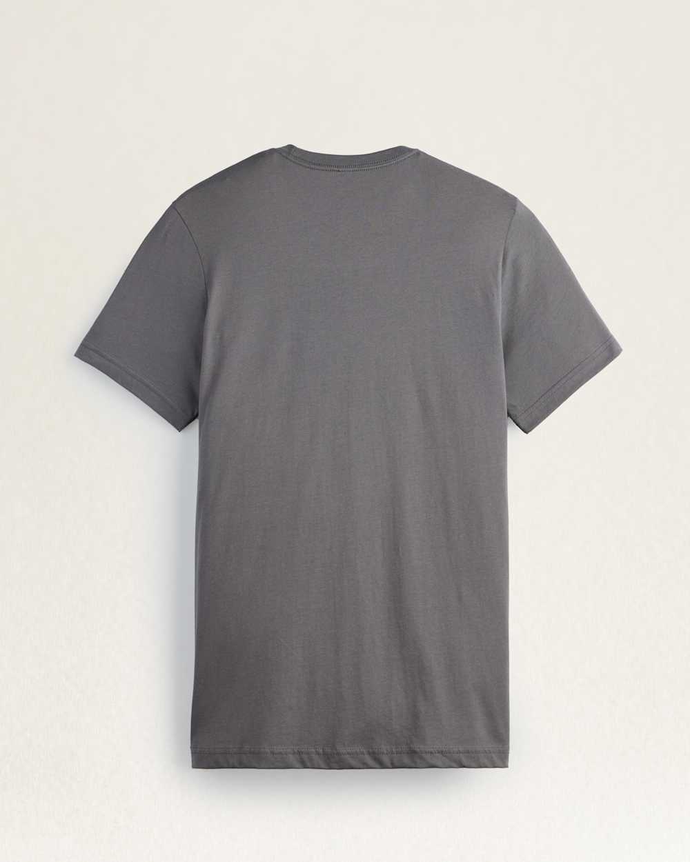 ALTERNATE VIEW OF MEN'S OMBRE BISON GRAPHIC TEE IN ASPHALT/MULTI image number 2