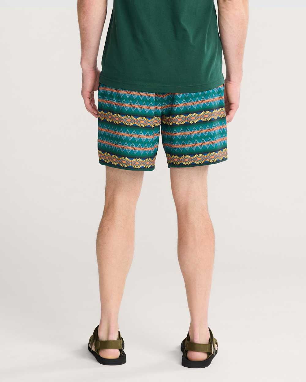 ALTERNATE VIEW OF WILDLAND HEROES SHORESIDE PACK-N-GO SWIM TRUNKS IN WILDLAND HEROES image number 3