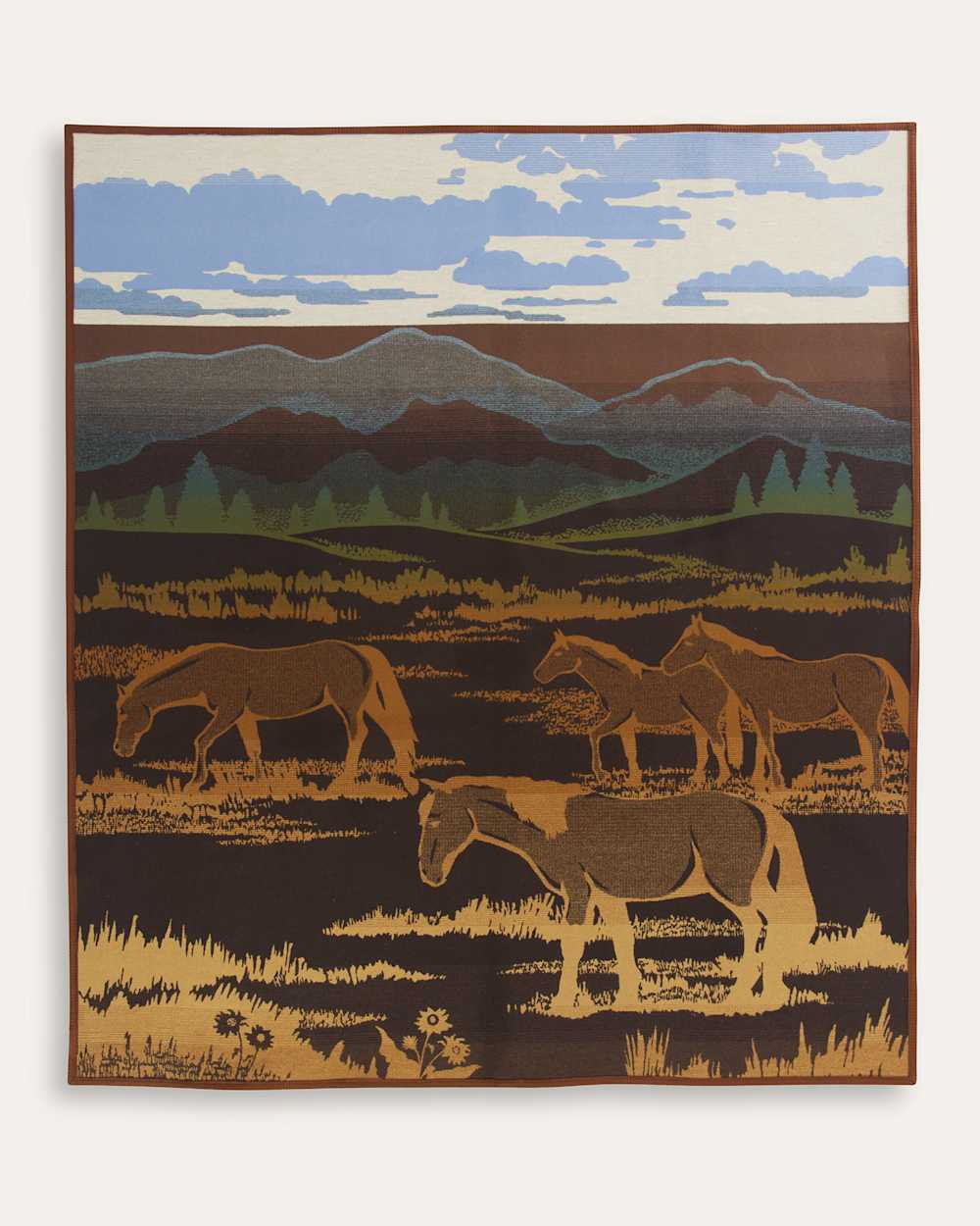 ALTERNATE VIEW OF SHADOW MOUNTAIN BLANKET IN MEADOW image number 3