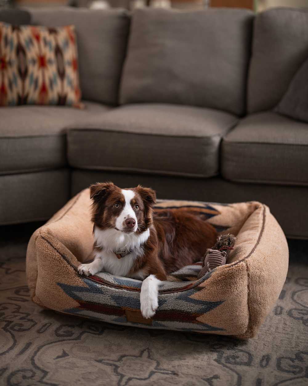 ALTERNATE VIEW OF WYETH TRAIL PET BED - KUDDLER IN BEIGE image number 1