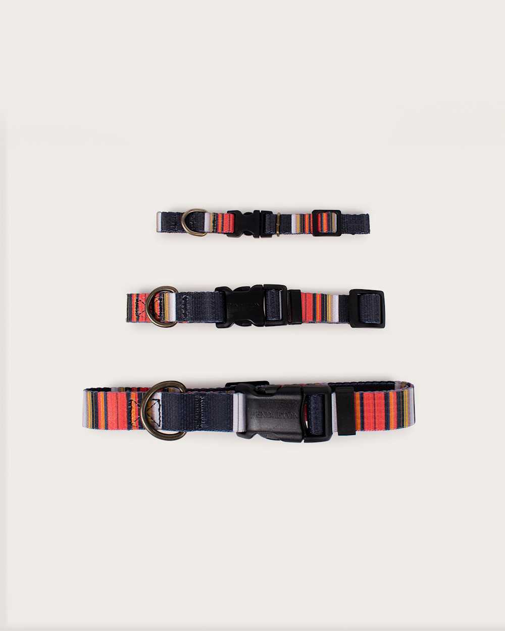 ALTERNATE VIEW OF ACADIA NATIONAL PARK ADVENTURE COLLAR IN ACADIA image number 3