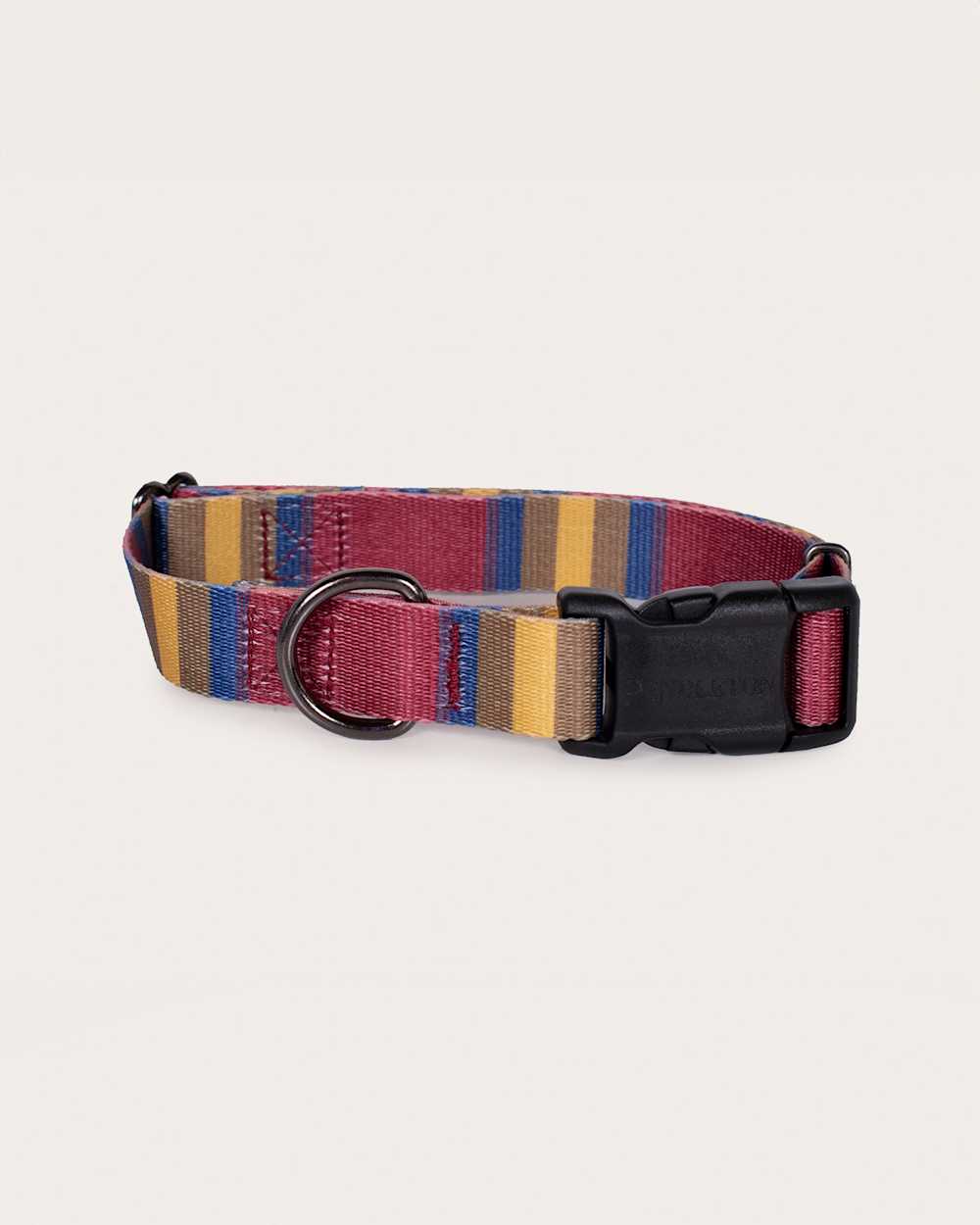 ZION NATIONAL PARK ADVENTURE COLLAR IN ZION image number 1