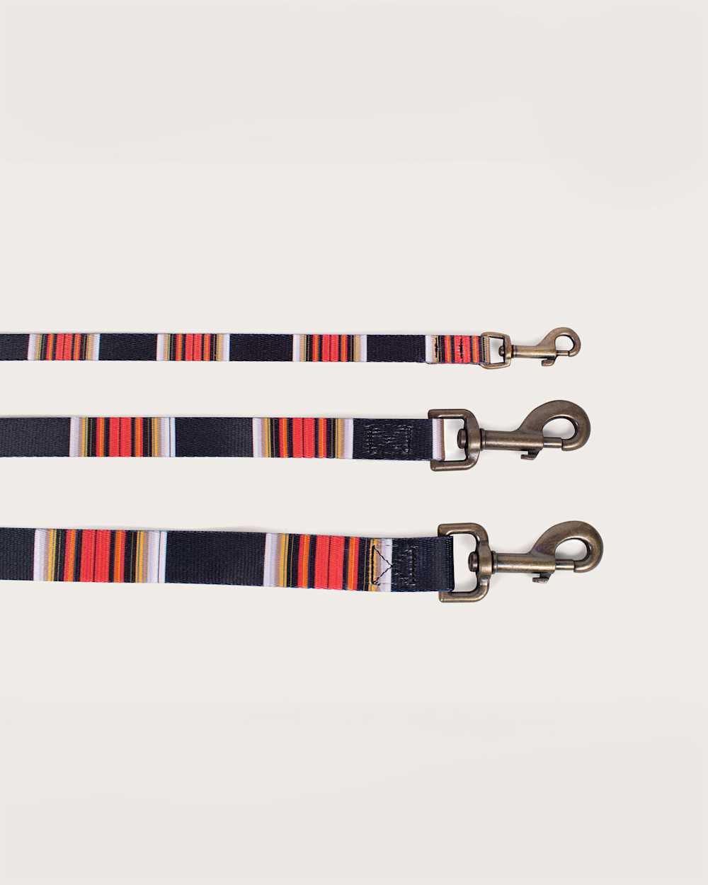 ALTERNATE VIEW OF ACADIA NATIONAL PARK ADVENTURE LEASH IN ACADIA image number 3