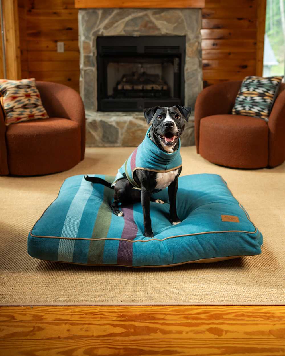 ALTERNATE VIEW OF CABIN STRIPE PET BED - NAPPER IN SHALE MULTI image number 1
