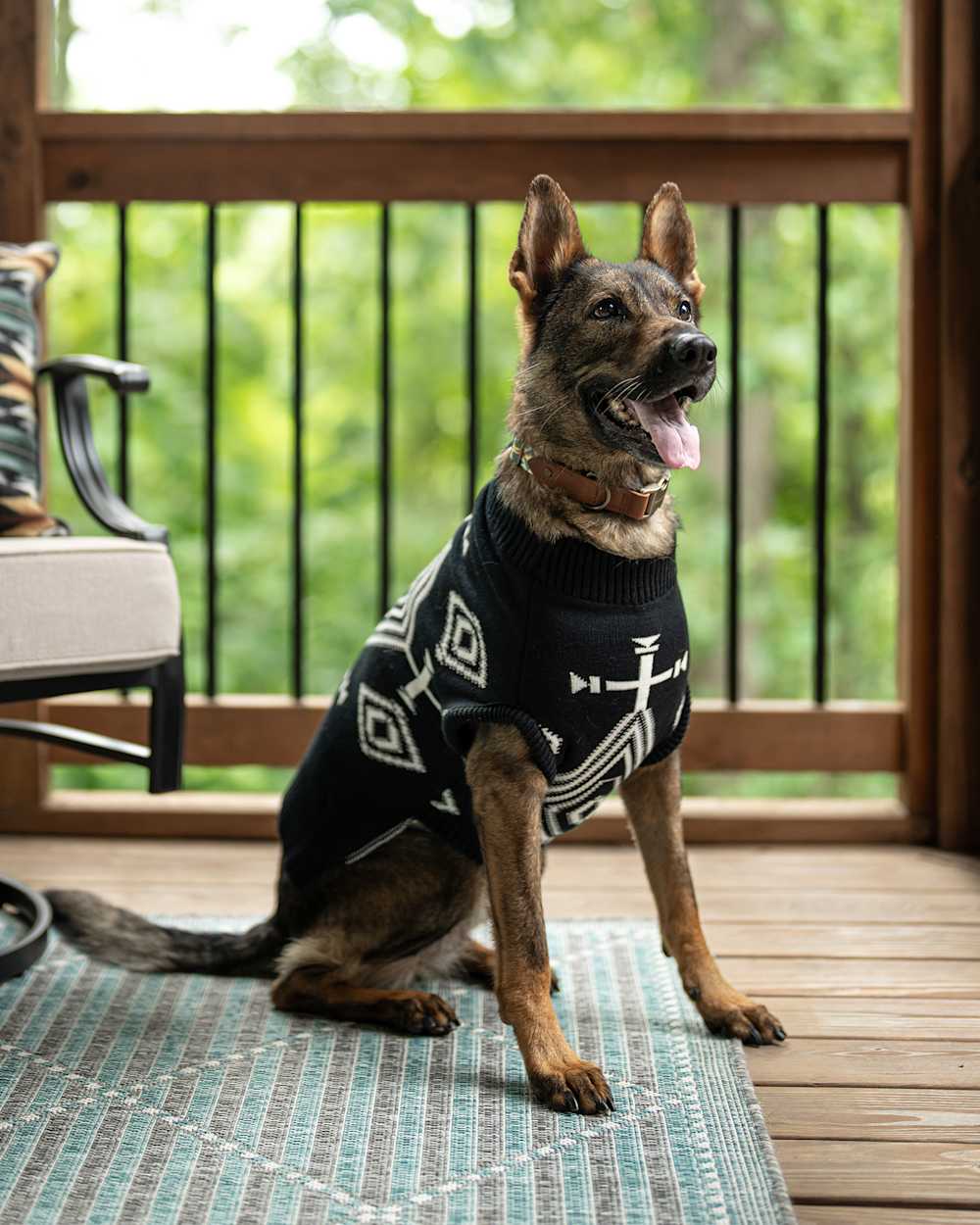 ALTERNATE VIEW OF LOS OJOS PET SWEATER IN LOS OJOS image number 1