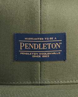 ALTERNATE VIEW OF LOGO FLAT BRIM HAT IN ARMY GREEN image number 3