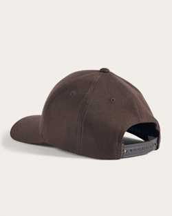 ALTERNATE VIEW OF EMBROIDERED HAT IN DARK BROWN BISON image number 2