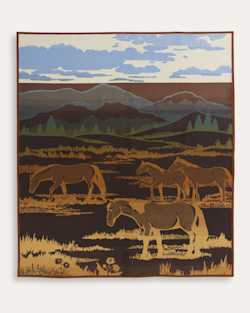 ALTERNATE VIEW OF SHADOW MOUNTAIN BLANKET IN MEADOW image number 3