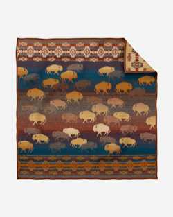 ALTERNATE VIEW OF PRAIRIE RUSH HOUR THROW AND PILLOW 2-PACK IN PRAIRIE RUSH HOUR RUSTIC image number 5