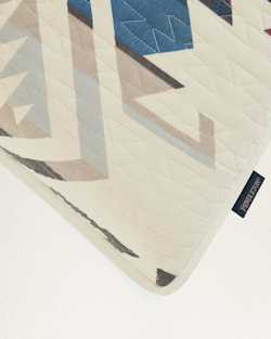 ALTERNATE VIEW OF WHITE SANDS EURO PILLOW IN IVORY MULTI image number 3