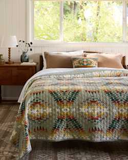ALTERNATE VIEW OF MISSION TRAILS COVERLET SET IN DESERT SAGE image number 6