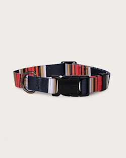 ACADIA NATIONAL PARK ADVENTURE COLLAR IN ACADIA image number 1