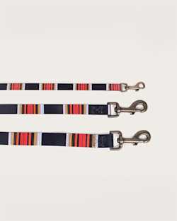 ALTERNATE VIEW OF ACADIA NATIONAL PARK ADVENTURE LEASH IN ACADIA image number 3