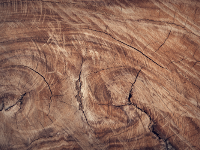 Holz A Ⅰ AVV 150103 Resourcify Abfallverzeichnis