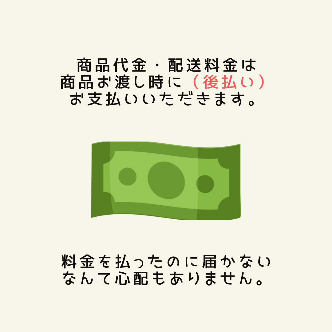 配送料金は後払い