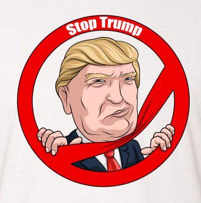 Comprehensive Impacts of the Trump Administration