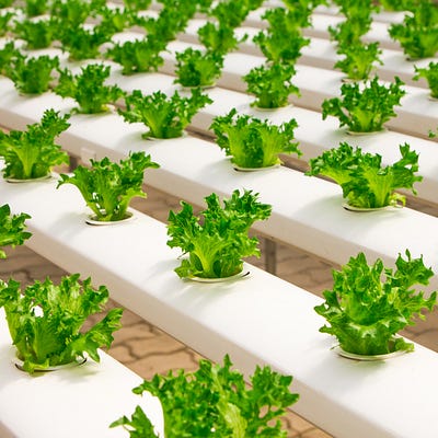 Food Science Fusion