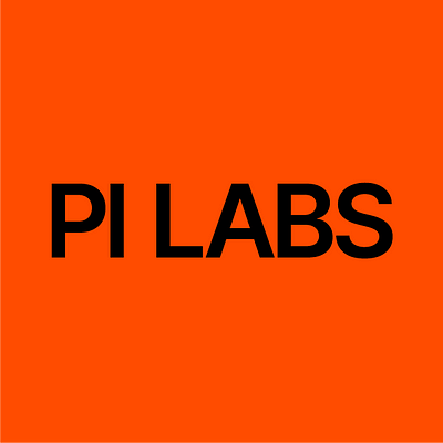 Pi Labs Insights