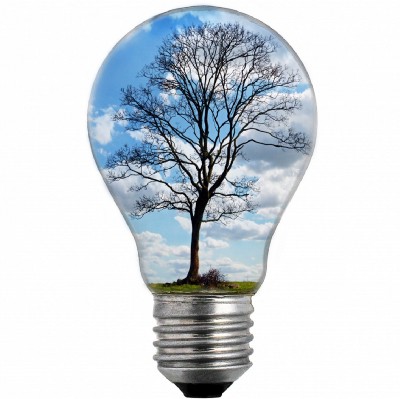 Environmental Ideas