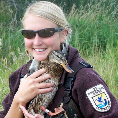 Conservation in Action