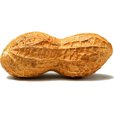 The Peanut Diaries