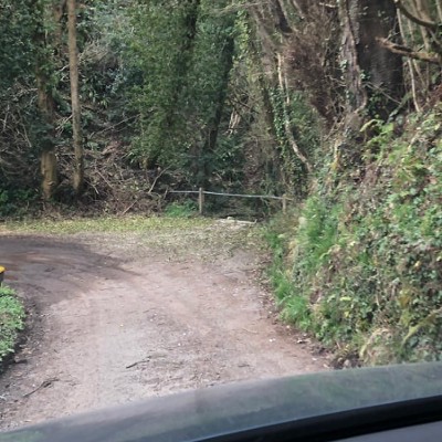 Down in the Dingle
