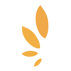 Golden Seeds Blog