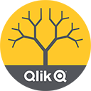 Qlik Branch