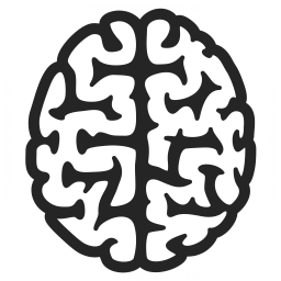 Computational Neuroscience
