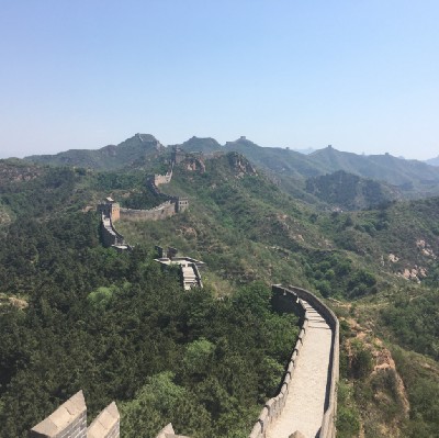 The Expat Chronicles