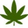 Pennsylvania Cannabis Report