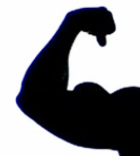 Tiny Arm University