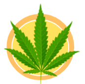 Tudo Sobre Cannabis