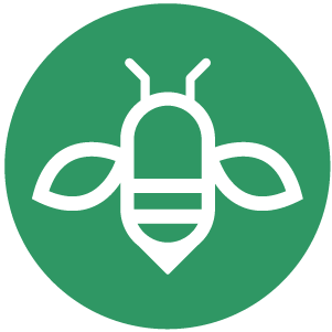 Pollinator: the Bloom Works blog