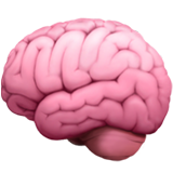 MoneyBrain