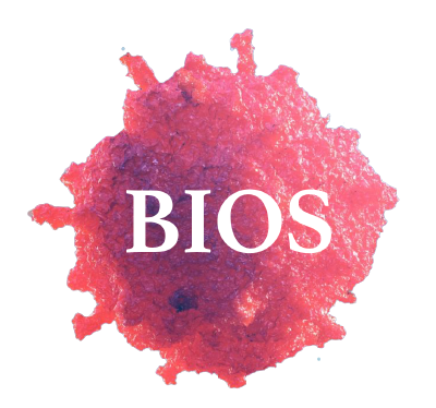 BIOS Community